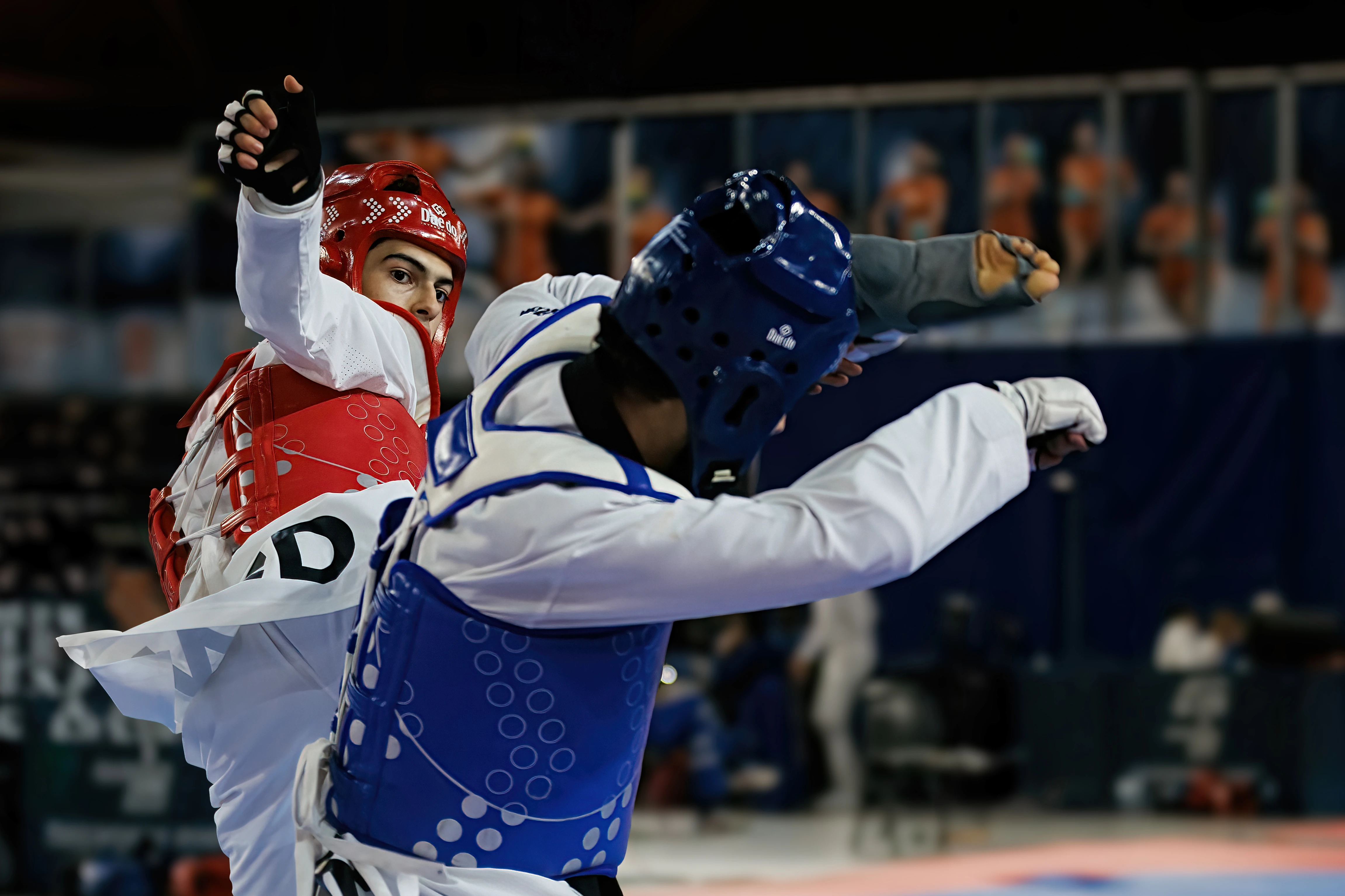 Dutch Open 2024 - photographer: Huhafoto (Harry van den Hurk)